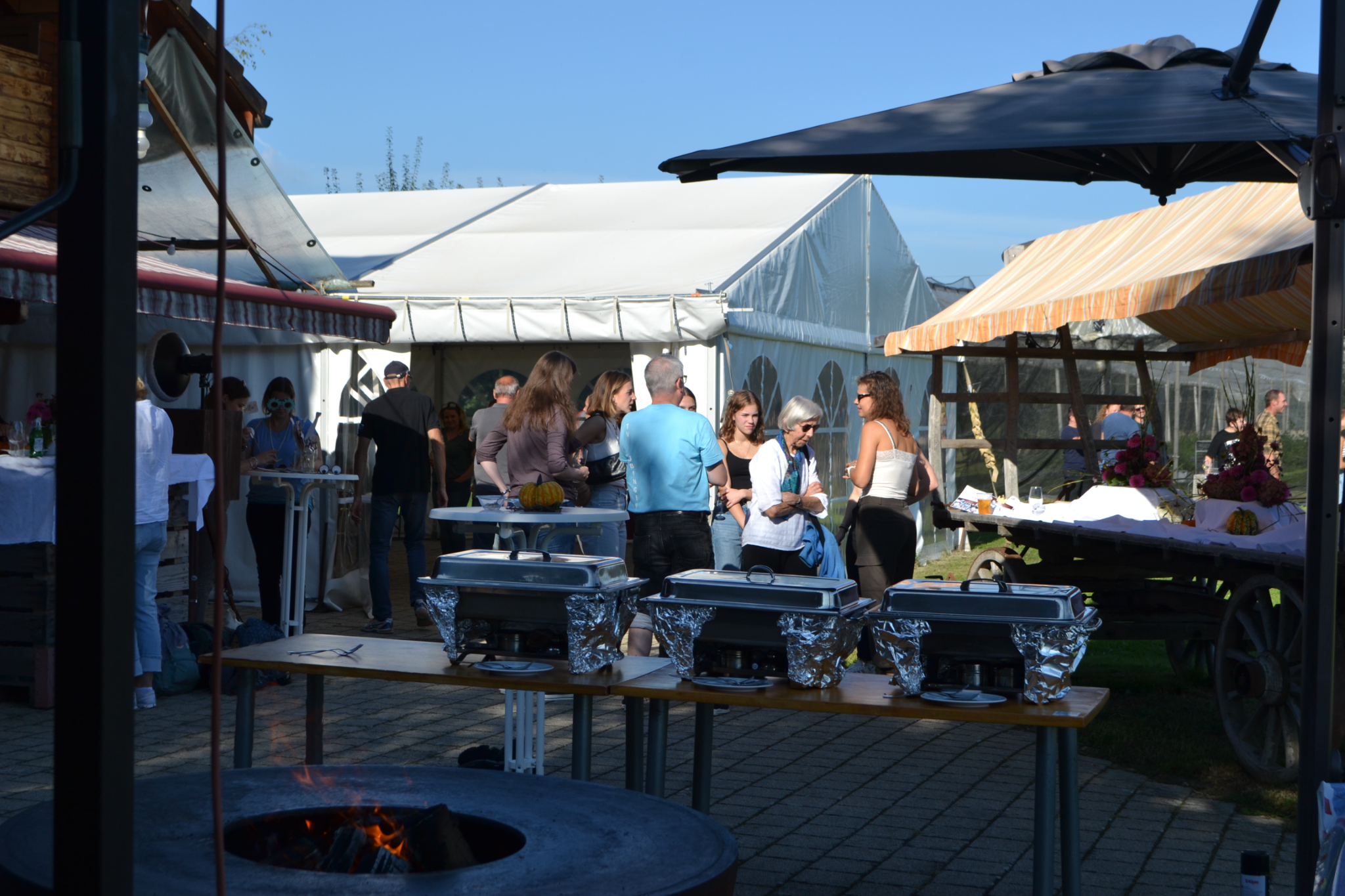 Bild (38)